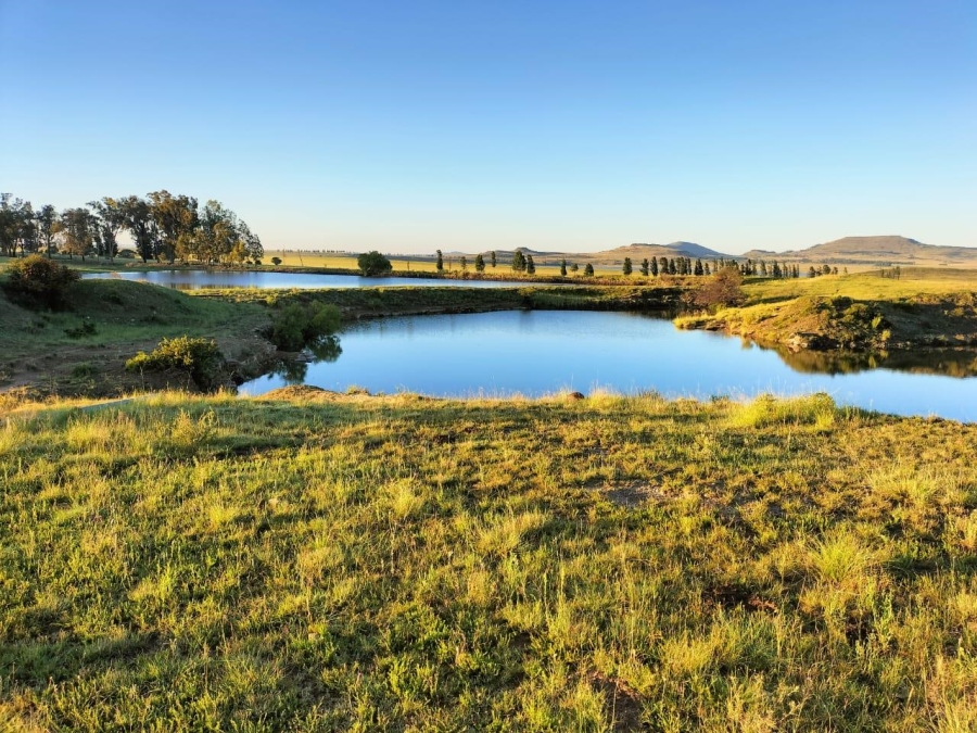 22 Bedroom Property for Sale in Tweespruit Free State